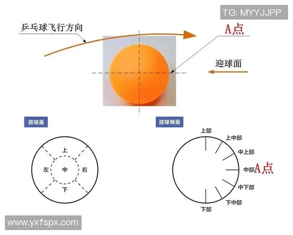 南京乒乓球队战术创新与转换打法的深度分析与探讨
